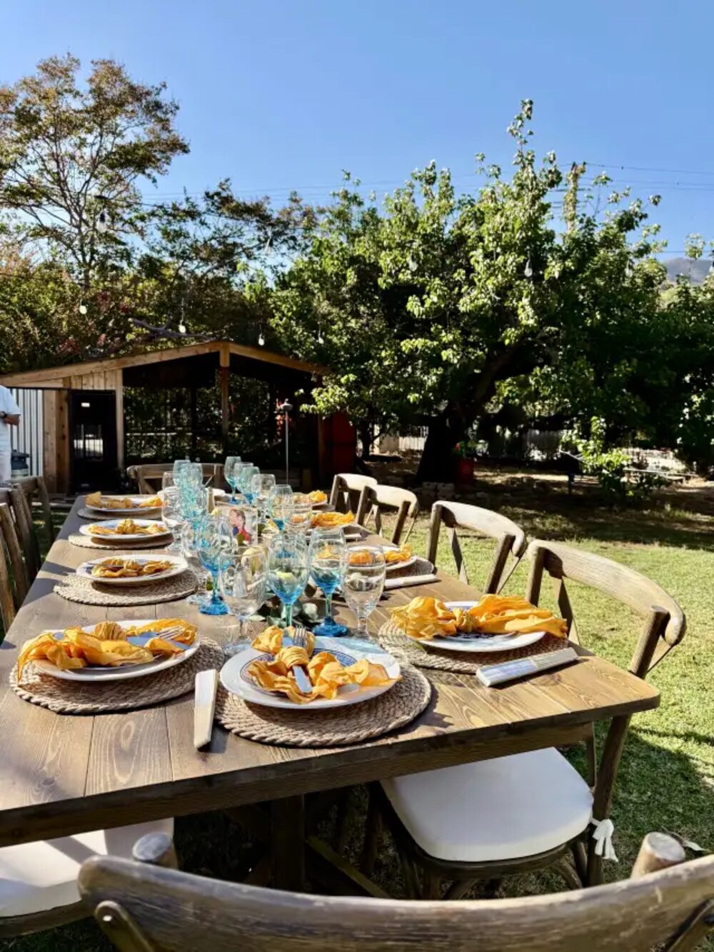 A full outdoor place setting with rental plates, blue glassware, napkins, and woven placemats