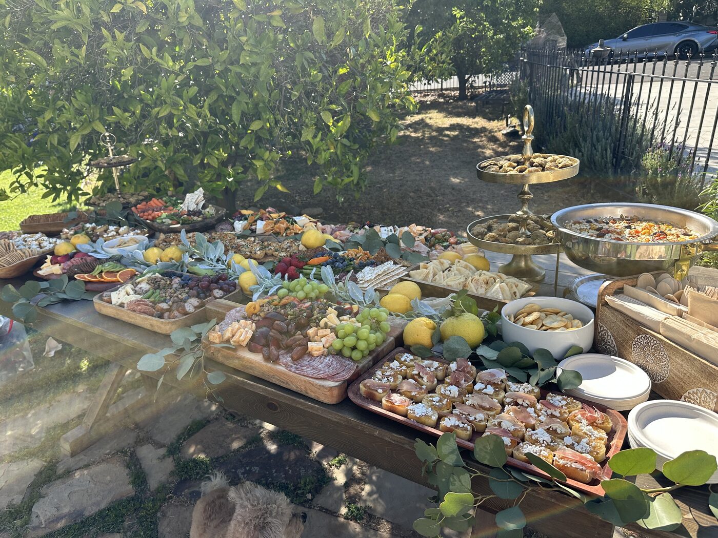 A spread of charcuterie and appetizers set under the citrus trees