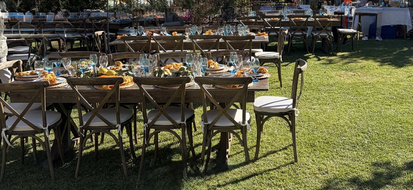 Farm tables and cross-back chairs set up on the lawn for a garden dinner